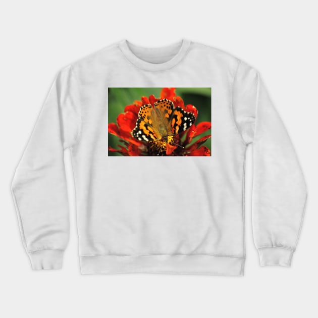 Orange and Black on Orange Crewneck Sweatshirt by michaelasamples